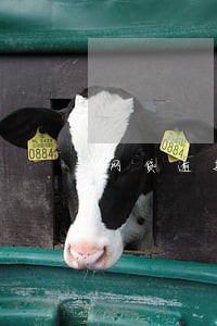 网贷逾期为什么联系父母 网贷逾期为什么联系父母