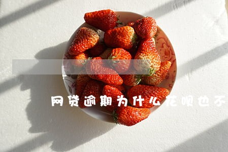网贷逾期为什么花呗也不能用 网贷逾期为什么花呗也不能用