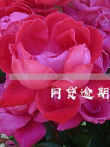 网贷逾期为什么花呗给我停了 网贷逾期为什么花呗给我停了