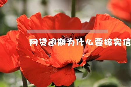网贷逾期为什么要核实信息 网贷逾期为什么要核实信息