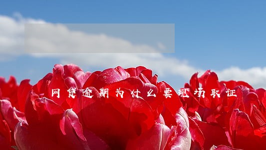 网贷逾期为什么要现场取证 网贷逾期为什么要现场取证
