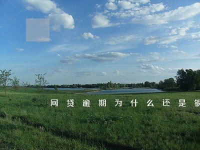 网贷逾期为什么还是银行白户 网贷逾期为什么还是银行白户