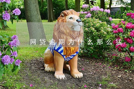 网贷逾期为什么那么猛 网贷逾期为什么那么猛