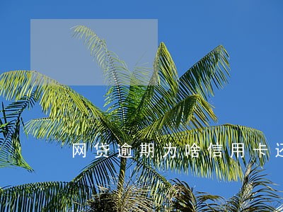 网贷逾期为啥信用卡还能用