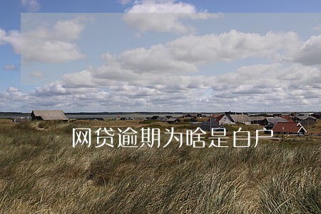 网贷逾期为啥是白户 网贷逾期为啥是白户