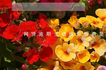 网贷逾期主动找你协商是真的吗 网贷逾期主动找你协商是真的吗