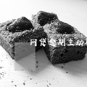 网贷逾期主动联系客服怎么沟通 网贷逾期主动联系客服怎么沟通