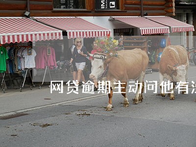 网贷逾期主动问他有没有用 网贷逾期主动问他有没有用