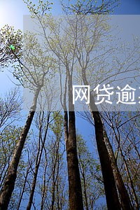 网贷逾期主要看什么