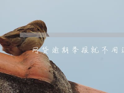 网贷逾期举报就不用还了 网贷逾期举报就不用还了