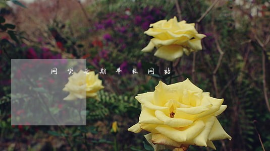网贷逾期举报网站 网贷逾期举报网站