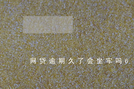 网贷逾期久了会坐牢吗6 网贷逾期久了会坐牢吗6