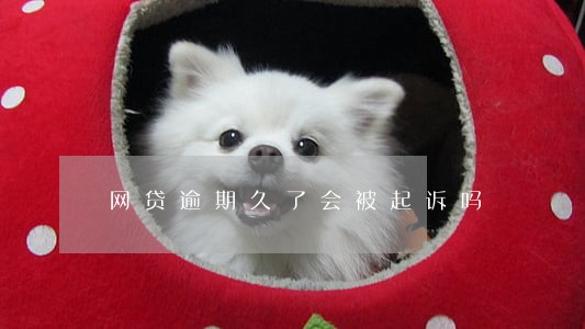 网贷逾期久了会被起诉吗 网贷逾期久了会被起诉吗