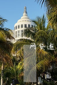 网贷逾期久了只还本金可以吗 网贷逾期久了只还本金可以吗