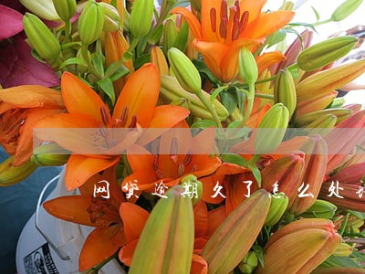 网贷逾期久了怎么处理 网贷逾期久了怎么处理