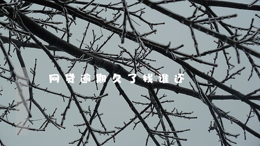 网贷逾期久了找谁还