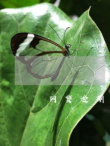 网贷逾期之前该做些什么 网贷逾期之前该做些什么