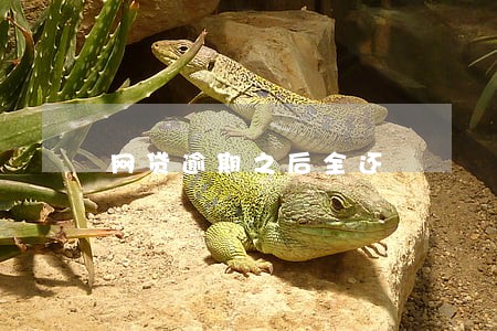 网贷逾期之后全还 网贷逾期之后全还