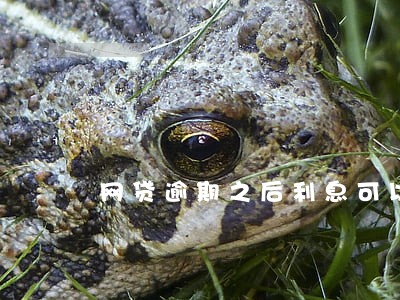 网贷逾期之后利息可以减免吗 网贷逾期之后利息可以减免吗