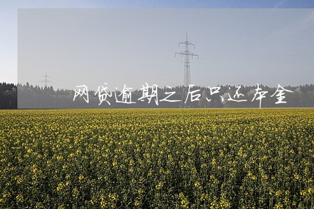 网贷逾期之后只还本金 网贷逾期之后只还本金