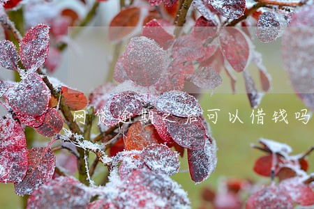 网贷逾期之后可以借钱吗 网贷逾期之后可以借钱吗