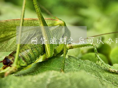 网贷逾期之后可以办理延期还款吗 网贷逾期之后可以办理延期还款吗