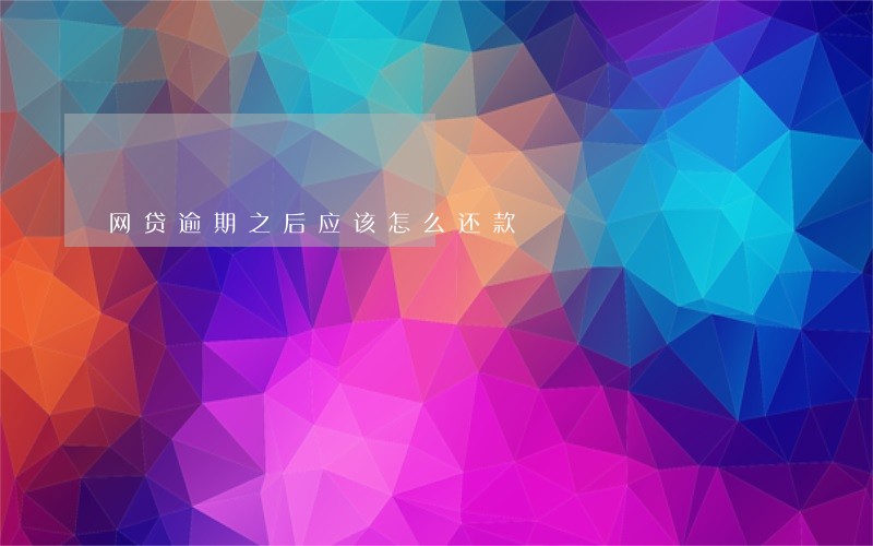 网贷逾期之后应该怎么还款