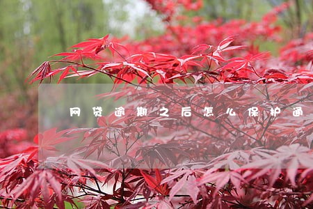 网贷逾期之后怎么保护通讯录 网贷逾期之后怎么保护通讯录