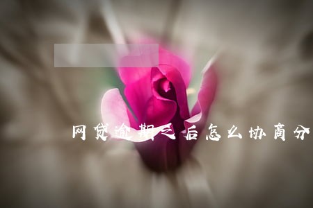 网贷逾期之后怎么协商分期 网贷逾期之后怎么协商分期