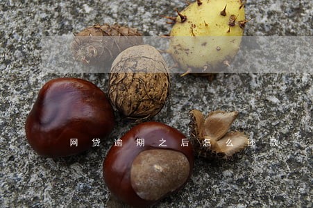 网贷逾期之后怎么还款 网贷逾期之后怎么还款