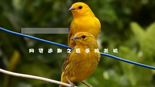 网贷逾期之后手机关机 网贷逾期之后手机关机