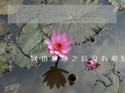 网贷逾期之后没有利息吗 网贷逾期之后没有利息吗