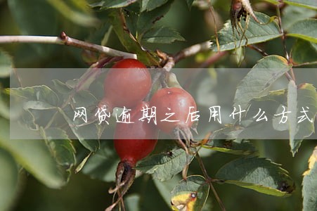 网贷逾期之后用什么方式去还款 网贷逾期之后用什么方式去还款