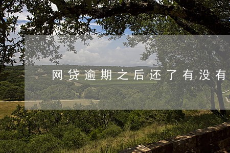 网贷逾期之后还了有没有事 网贷逾期之后还了有没有事