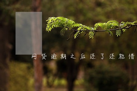 网贷逾期之后还了还能借吗 网贷逾期之后还了还能借吗