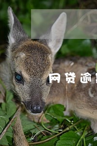 网贷逾期九个月多少钱 网贷逾期九个月多少钱