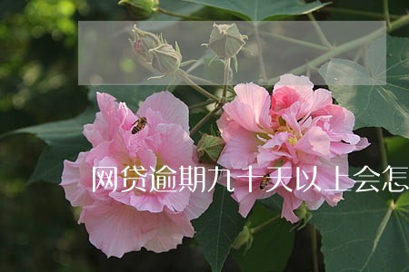网贷逾期九十天以上会怎么样 网贷逾期九十天以上会怎么样
