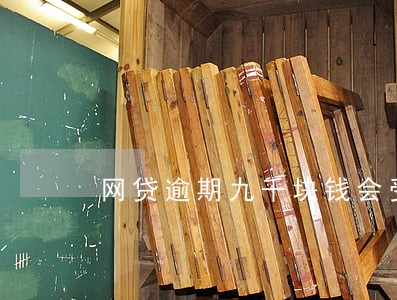 网贷逾期九千块钱会受到什么处分