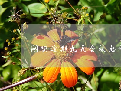 网贷逾期九天会被起诉吗 网贷逾期九天会被起诉吗