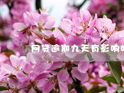 网贷逾期九天有影响吗 网贷逾期九天有影响吗