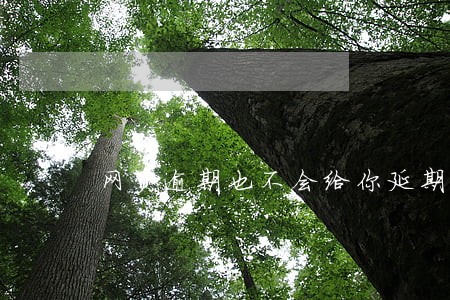 网贷逾期也不会给你延期还款 网贷逾期也不会给你延期还款