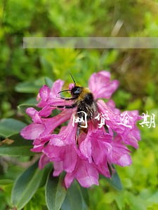 网贷逾期也不怕这些钱没必要还 网贷逾期也不怕这些钱没必要还