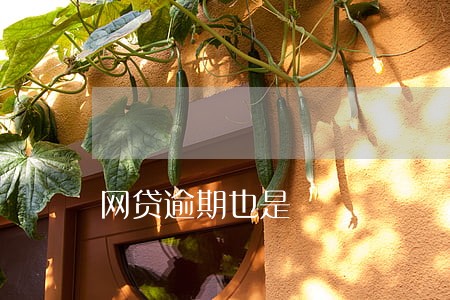 网贷逾期也是 网贷逾期也是
