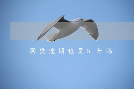 网贷逾期也是5年吗 网贷逾期也是5年吗