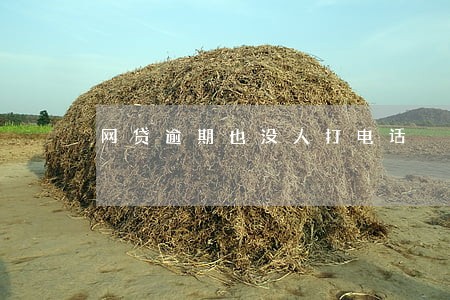 网贷逾期也没人打电话 网贷逾期也没人打电话
