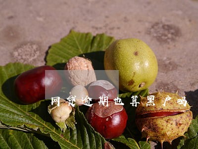 网贷逾期也算黑户吗