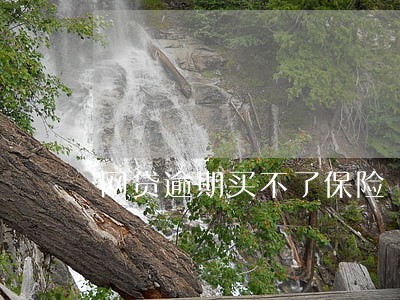 网贷逾期买不了保险 网贷逾期买不了保险