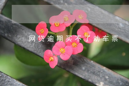 网贷逾期买不了动车票 网贷逾期买不了动车票