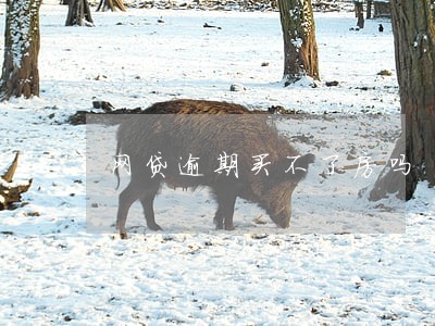 网贷逾期买不了房吗 网贷逾期买不了房吗