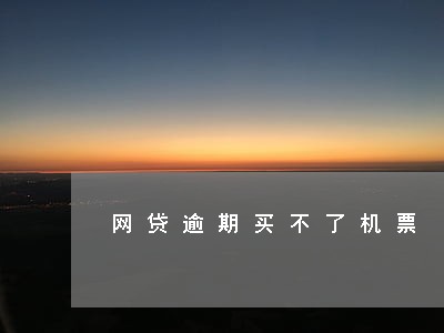 网贷逾期买不了机票 网贷逾期买不了机票